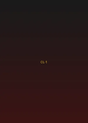 四虎影视 - 英雄本色经典海报